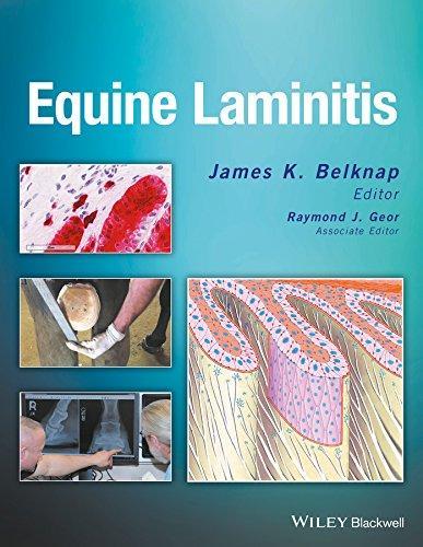 Laminitis relief outlet boots